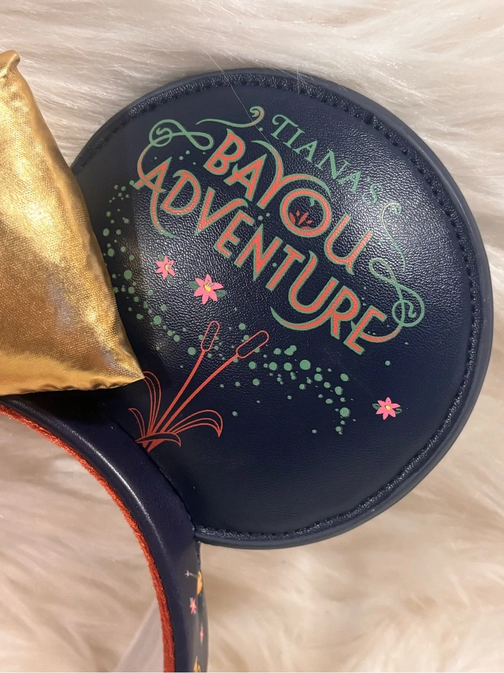 Disney tiana’s bayou